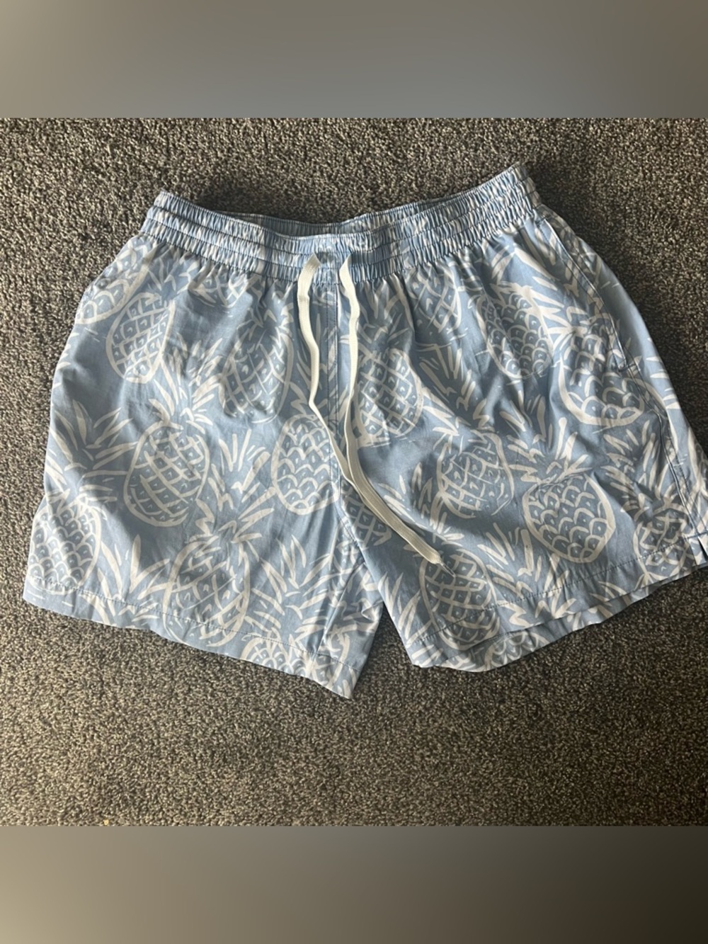 chubbies Light Blue Pineapple Swim Trunks